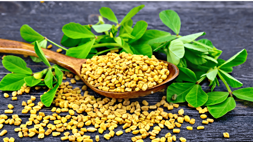 Fenugreek seeds and leaves on a rustic table.