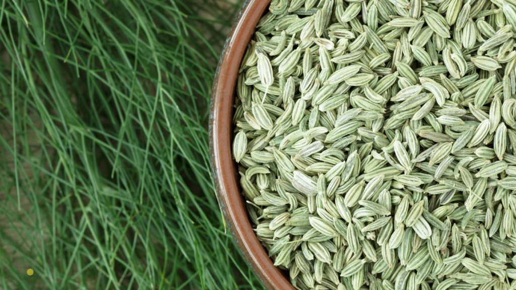 health benefits of fennel seeds